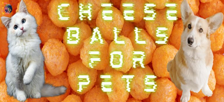 Can cat or dog eat cheese balls