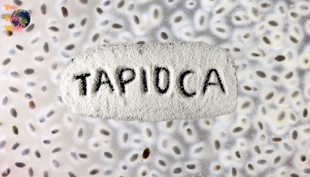 Tapioca Seeds